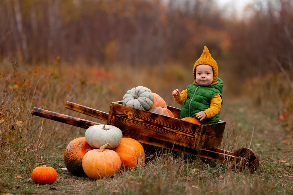 Photograph by Наталья Срединина