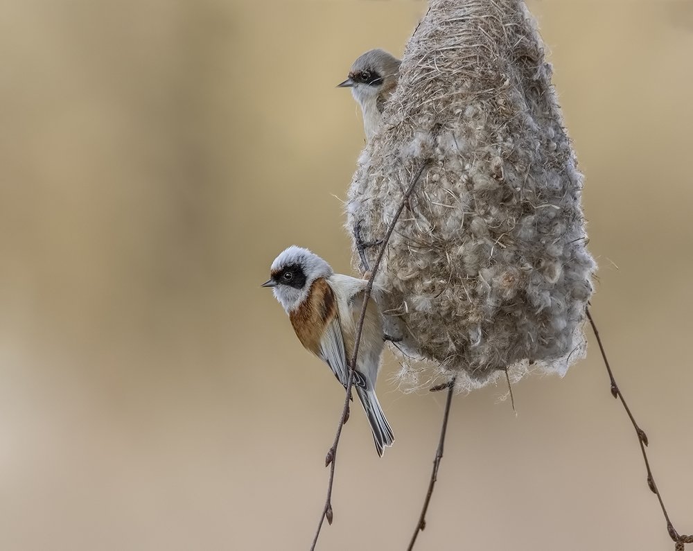 Photograph by Елена Швыдун