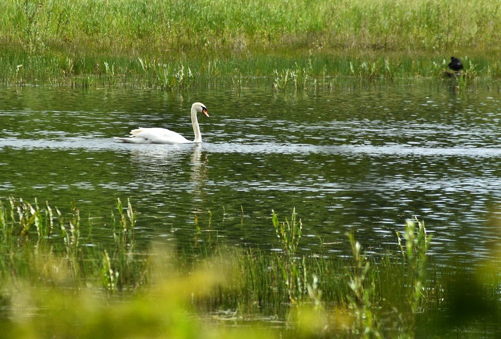 Photograph by Vitalii Kaznin