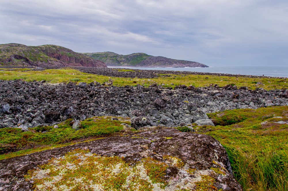 Photograph by Анна Захаренкова
