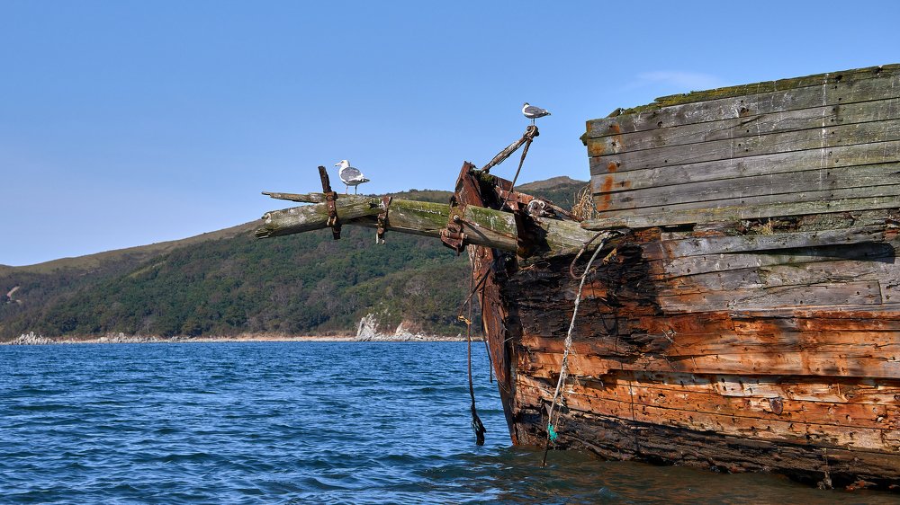 Photograph by Алексей Кисель