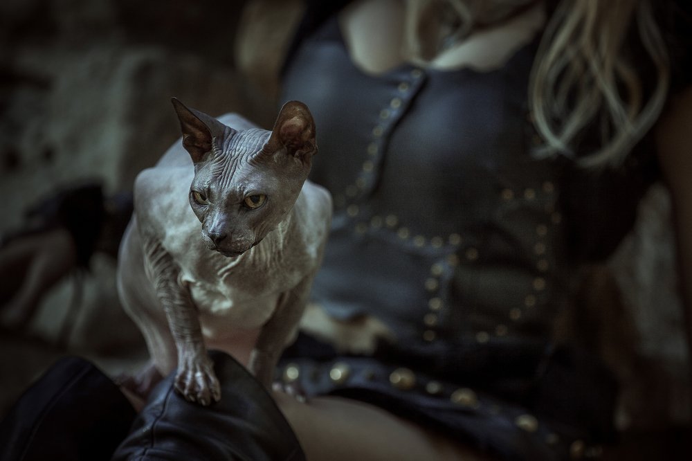 Photograph by Евгения Лис