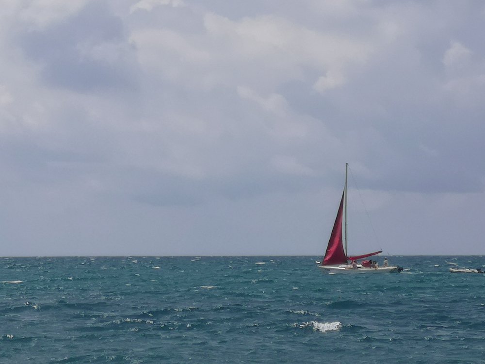 Photograph by Владислав Калюкин