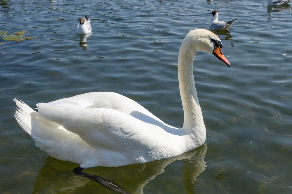 Photograph by Владислав Калюкин