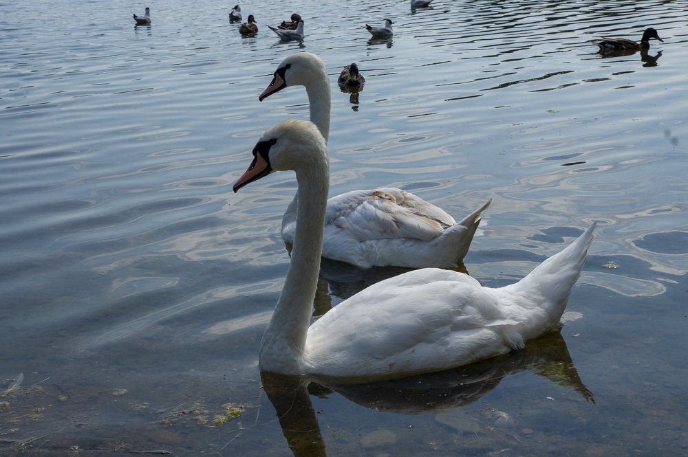 Photograph by Владислав Калюкин