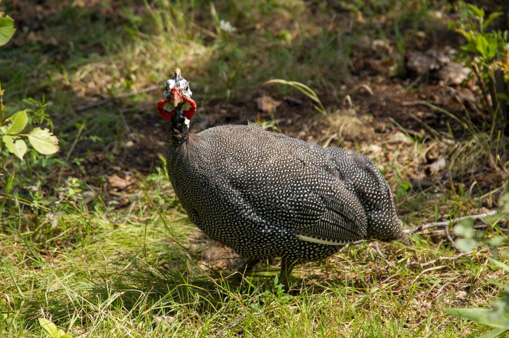 Photograph by Владислав Калюкин