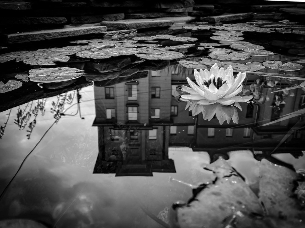 Фотография автора Sergey Sokolovsky