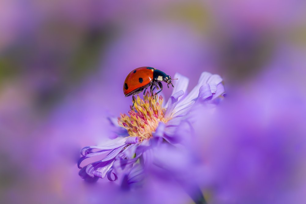 Photograph by Vahid Yavari