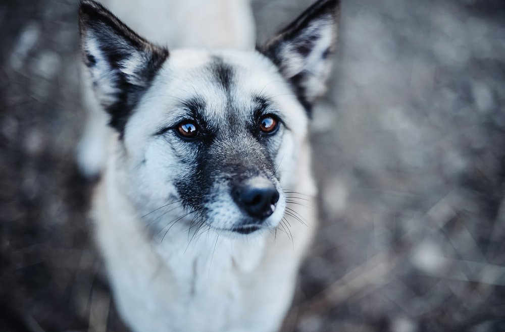 Photograph by Юлия Тарасенко