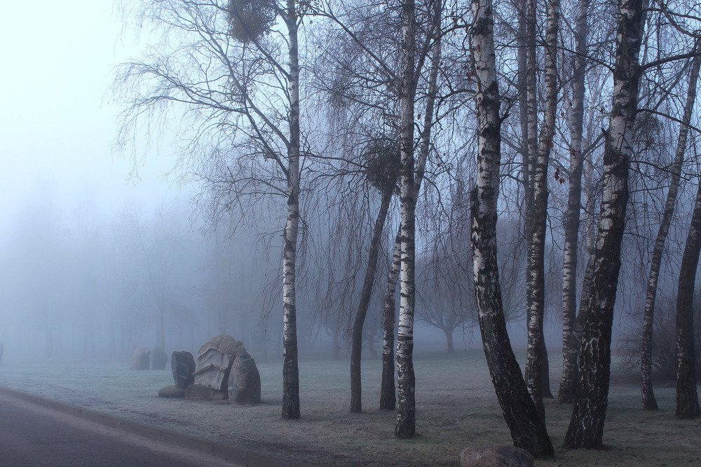 Photograph by 