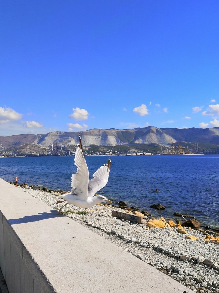 Photograph by Виктория Федосеенко