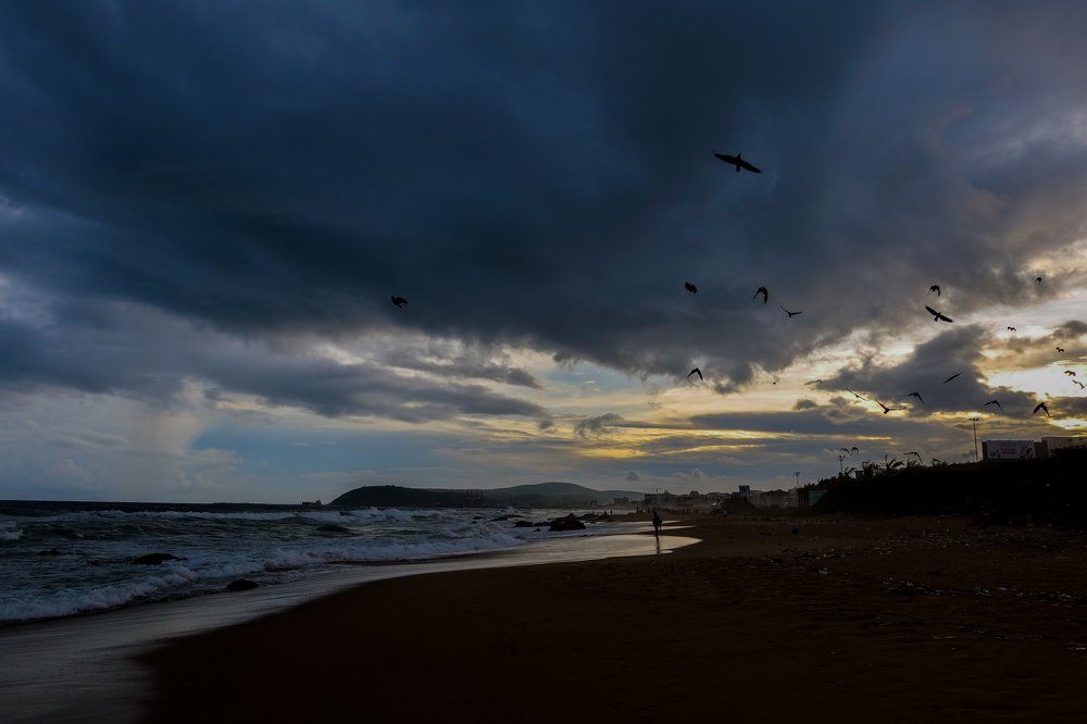 Photograph by Seshu Chandaka