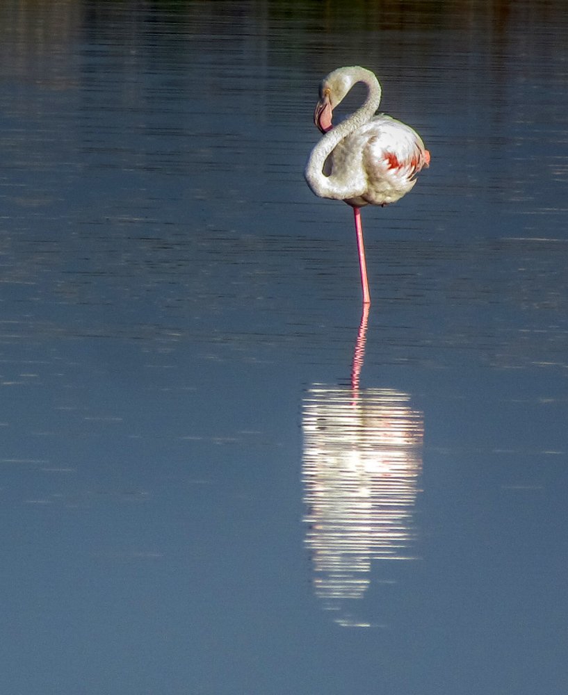 Фотография автора Ismail SAIDI
