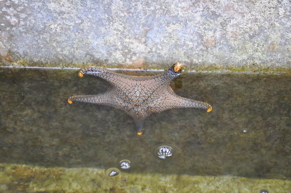 Photograph by Кадырова Анастасия