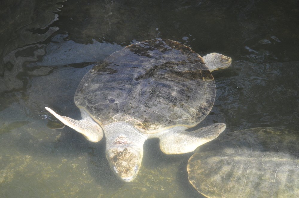 Photograph by Кадырова Анастасия