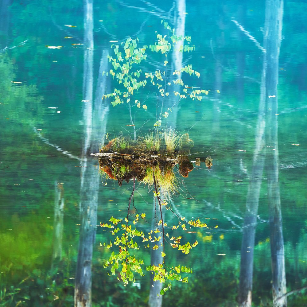 Photograph by Karyakin Anton