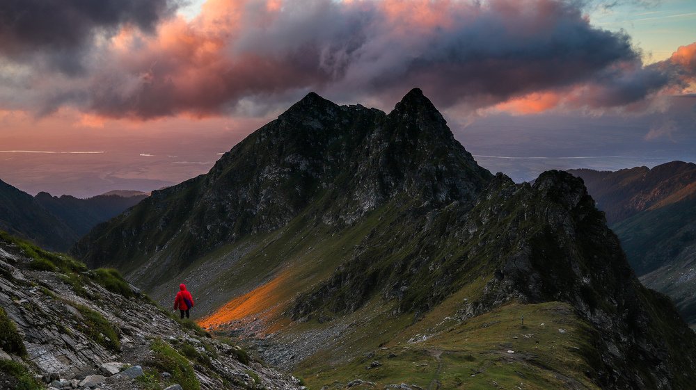 Фотография автора Flegner Calin