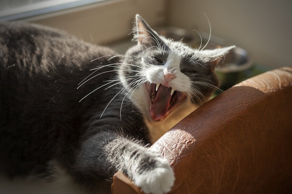 Photograph by Наталия Иванова