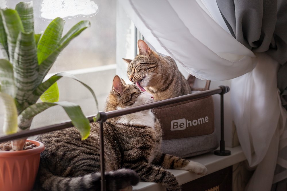 Photograph by Наталия Иванова