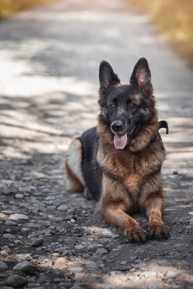 Photograph by Наталия Иванова