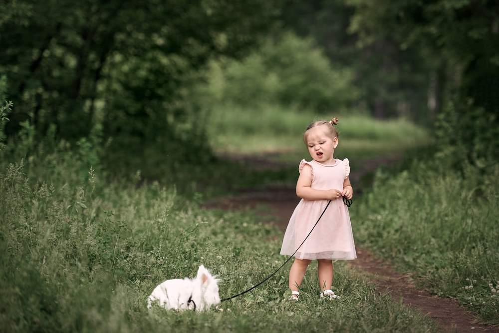 Photograph by Чернигова Анастасия