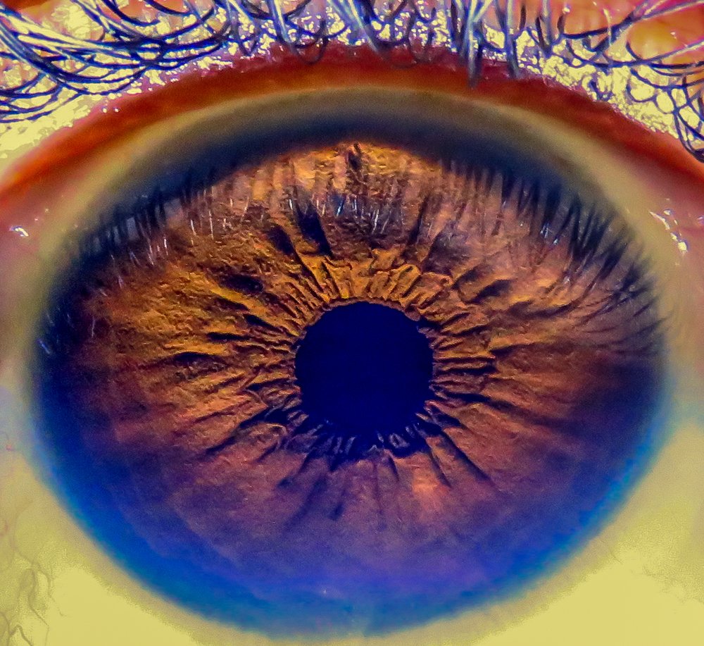 Photograph by Susmita Paul