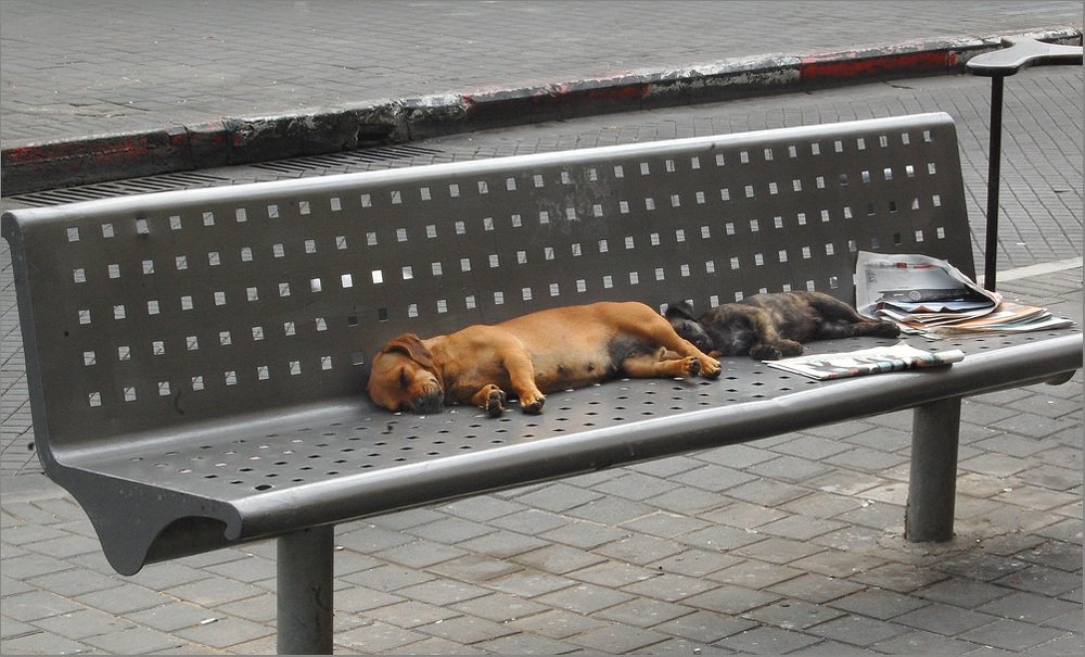 Photograph by Яков