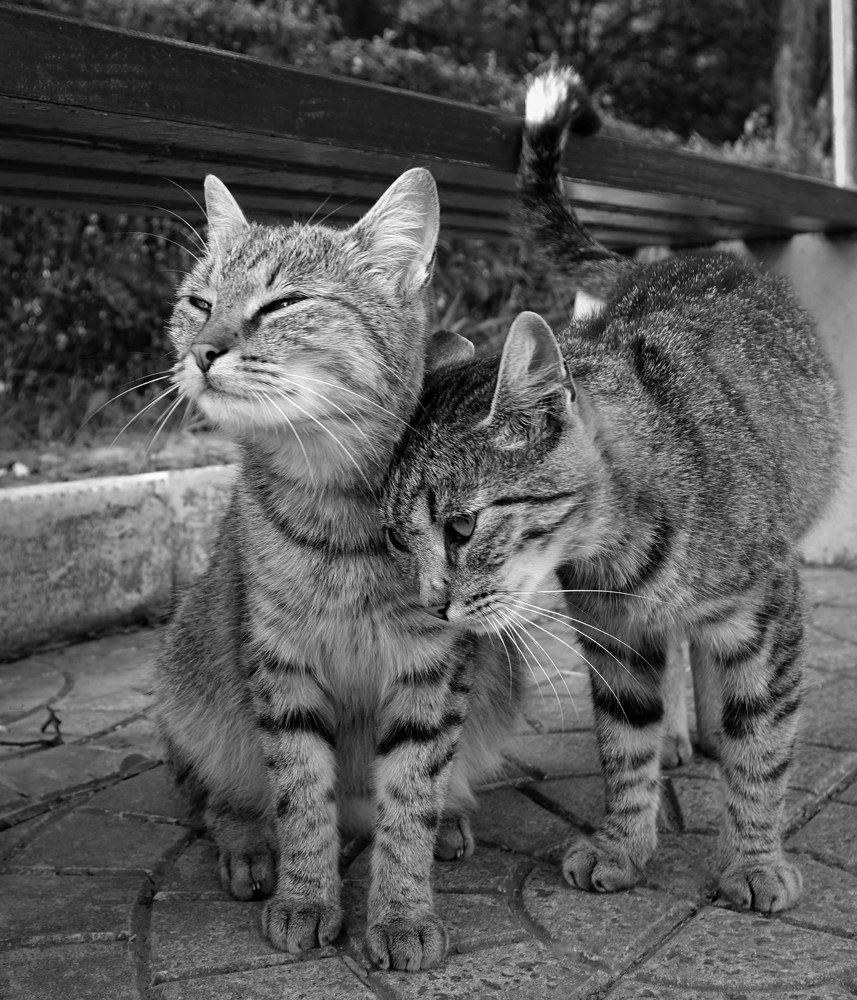 Фотография автора Валентина Гундарева