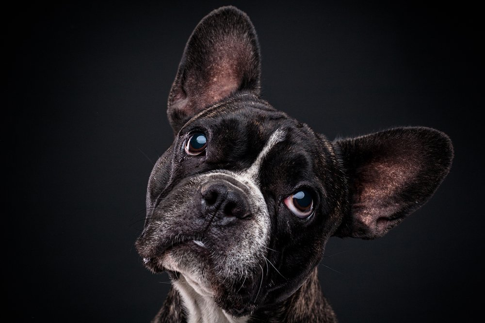 Photograph by Евгений Дёгтев