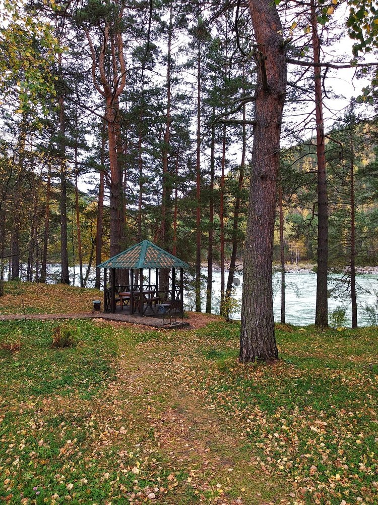 Photograph by Олеся Лосыгина