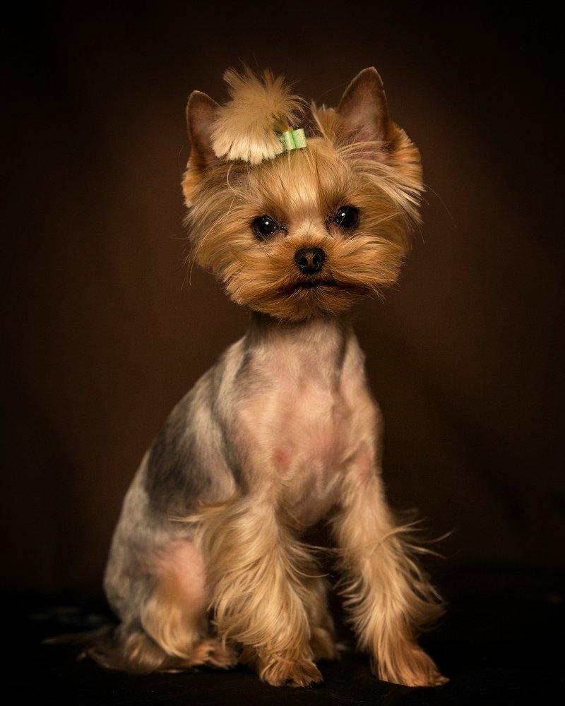 Photograph by Юлия Милосердова