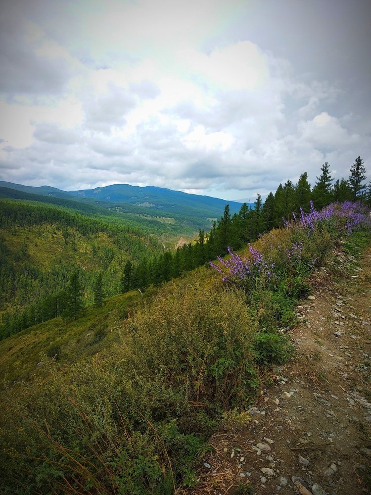 Photograph by Олеся Лосыгина