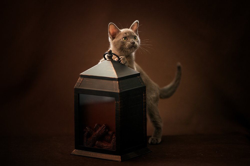 Photograph by Юлия Милосердова