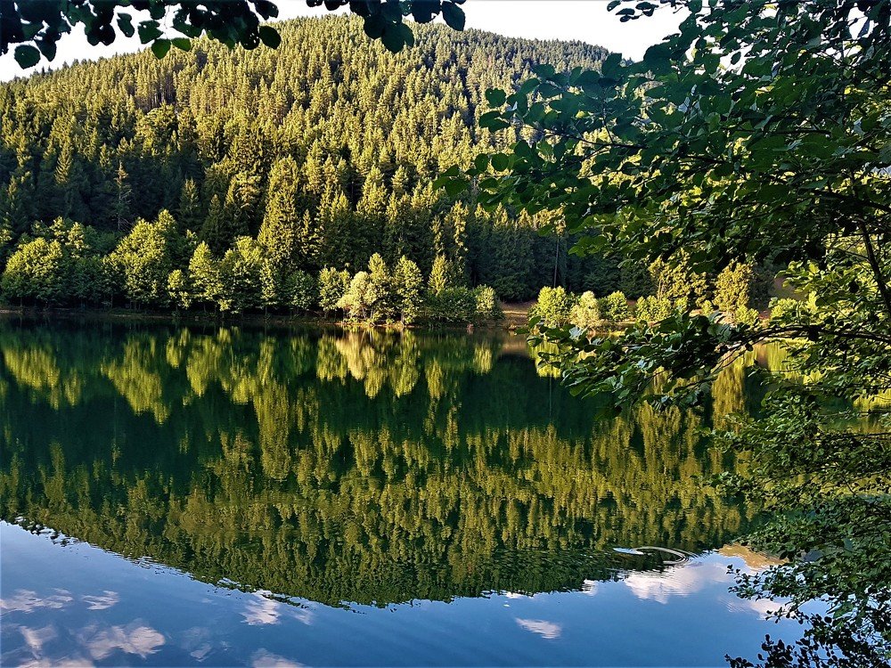 Photograph by SERVET ÖZKÖK