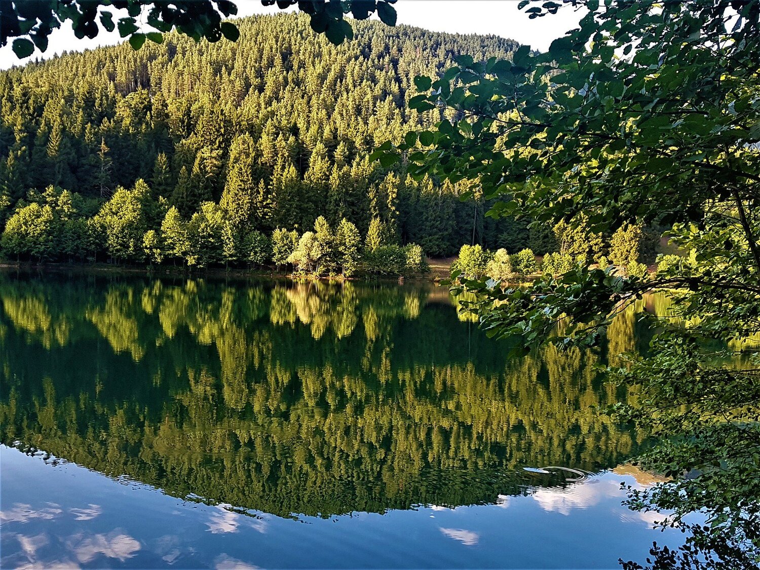 Photo #5008447