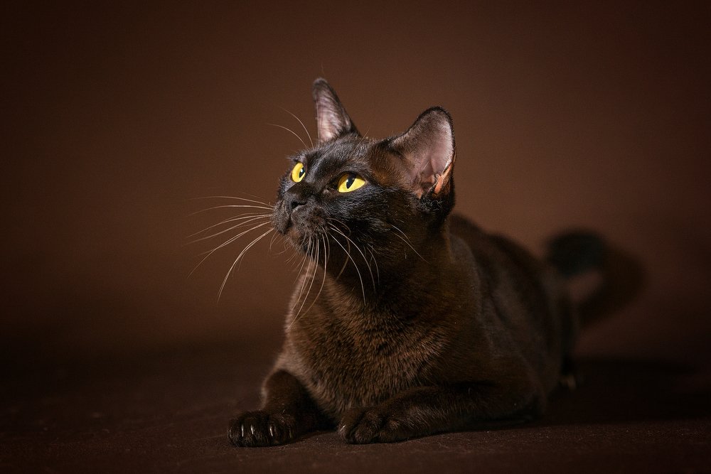 Photograph by Юлия Милосердова