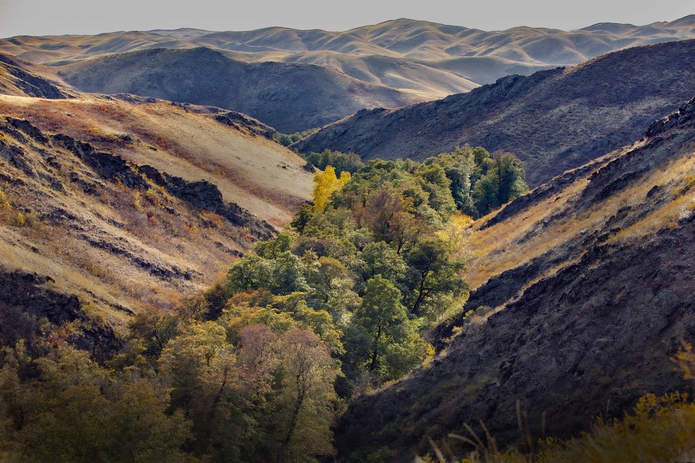 Photograph by петр чиков