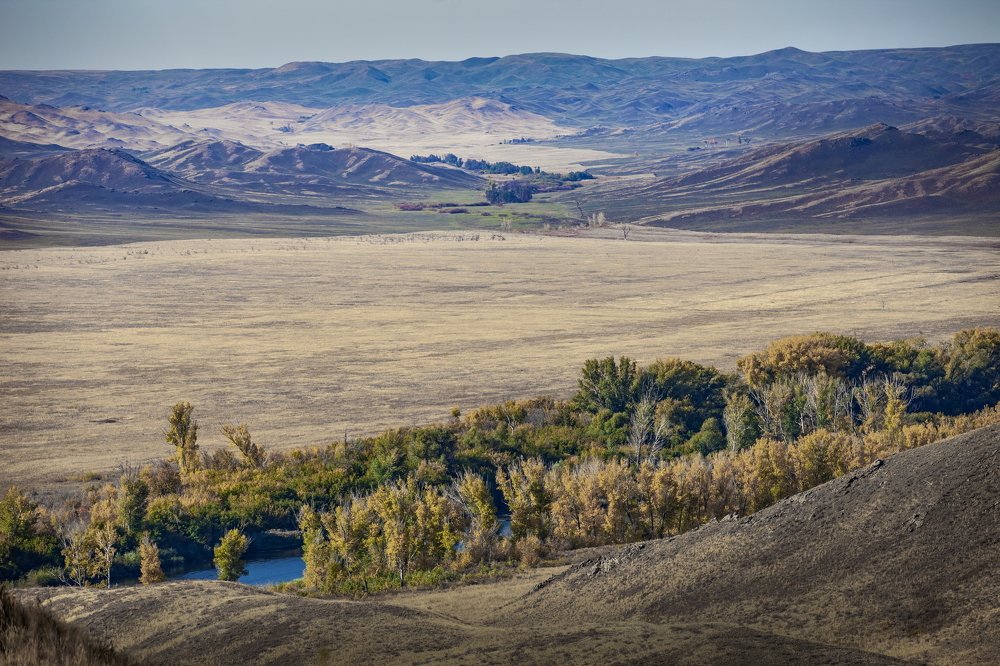 Photograph by петр чиков