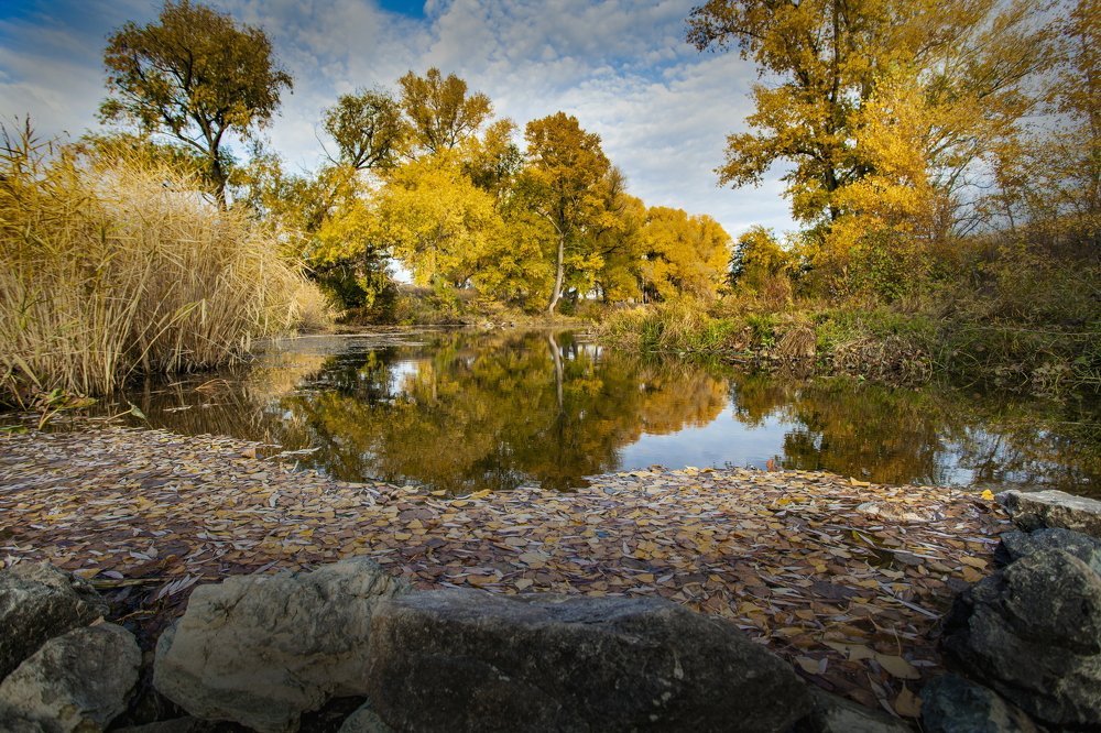 Photograph by петр чиков