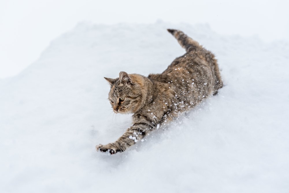 Photograph by Юлия Шестопалова