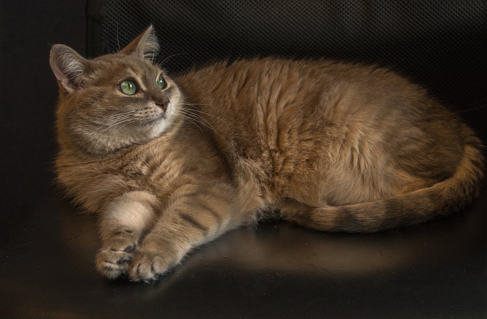 Photograph by Светлана Мельник