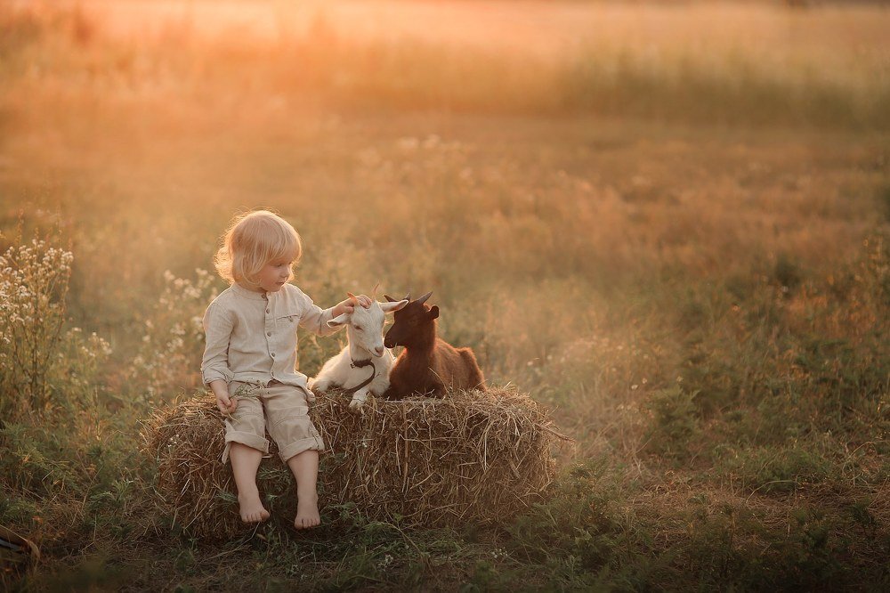 Photograph by Наталья Ленская