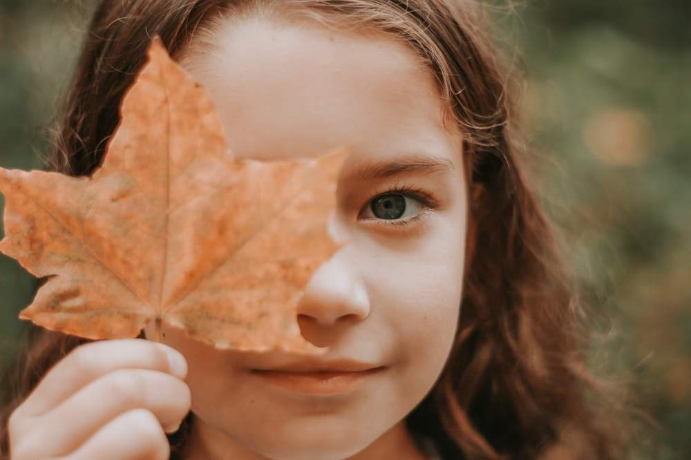 Осень - привет