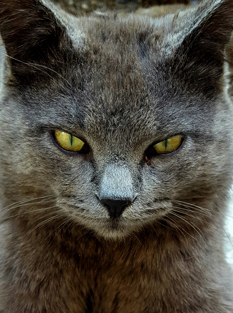 Photograph by Siamak Sabet