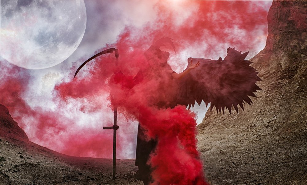 Фотография автора Тамара Нижельская