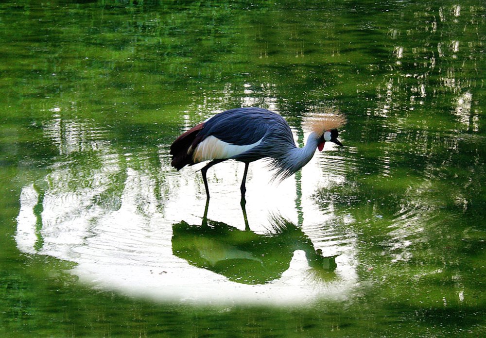 Photograph by Siamak Sabet