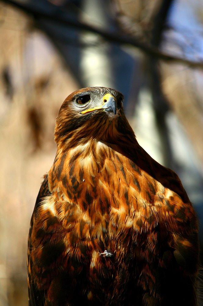 Photograph by Siamak Sabet