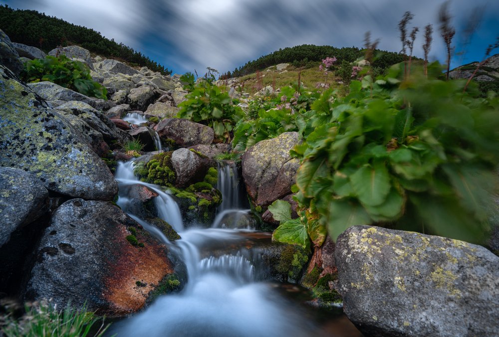 Photograph by Varga Zoltan