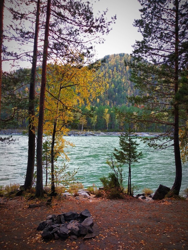 Photograph by Олеся Лосыгина