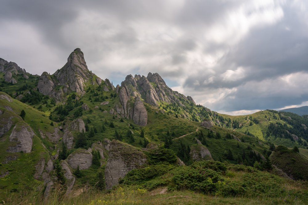 Photograph by Varga Zoltan